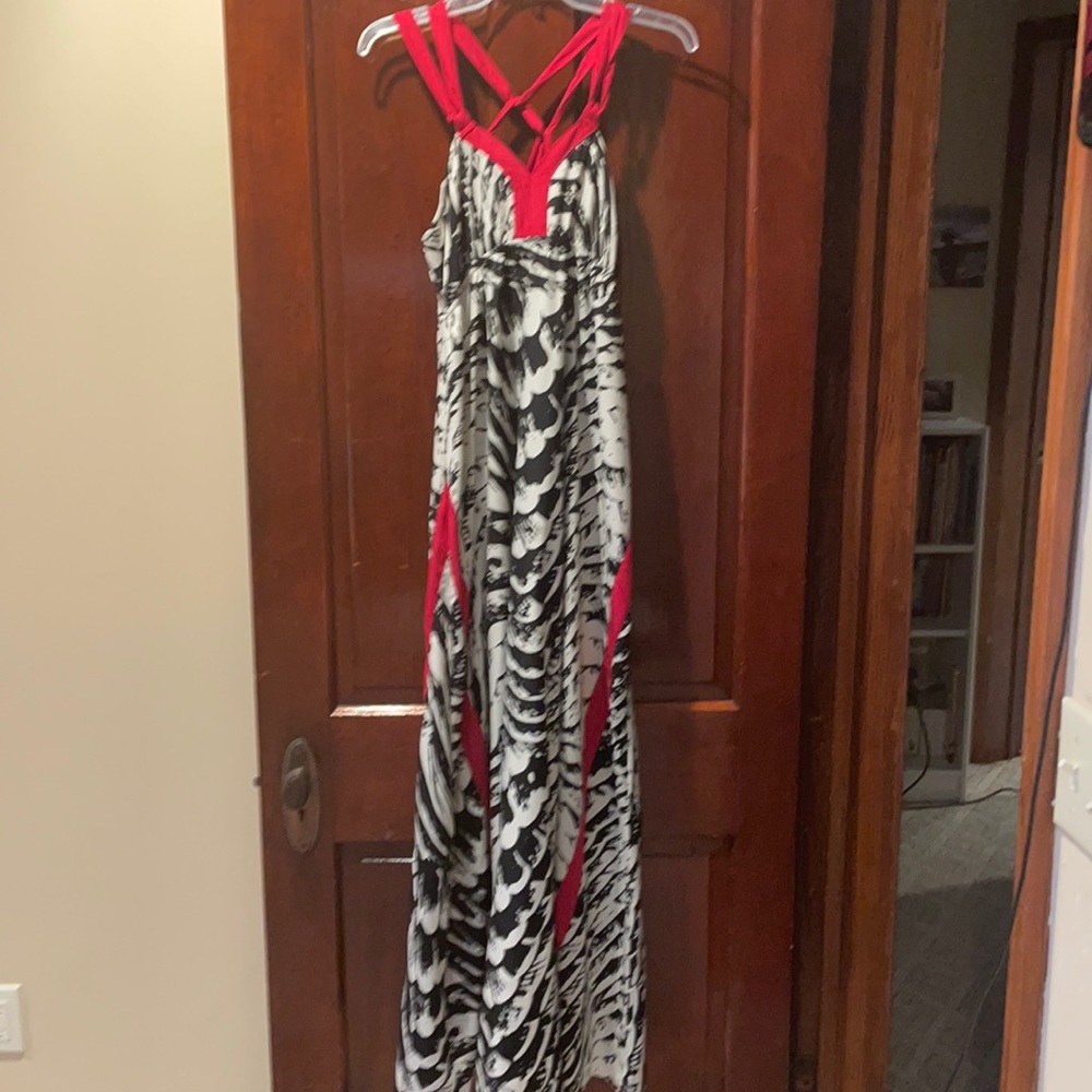 Express maxi dress